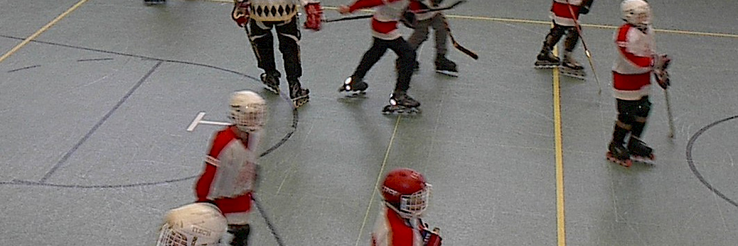 Inline-Hockey im Walddörfer Sportverein