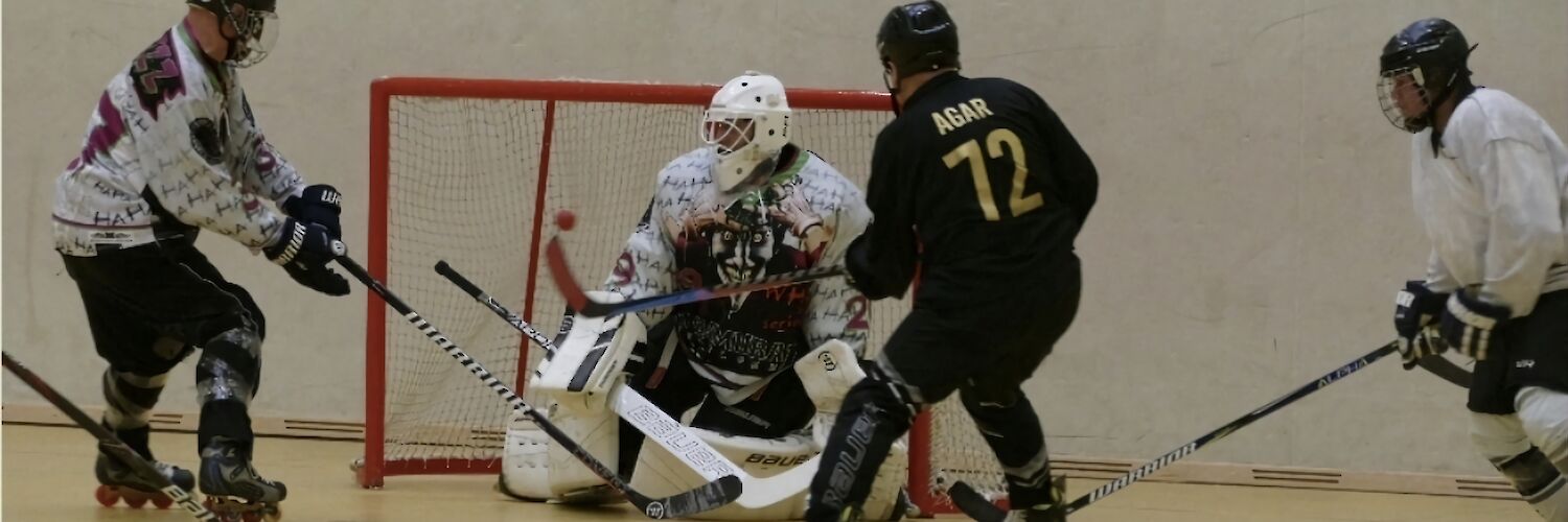 Inline-Hockey im Walddörfer Sportverein