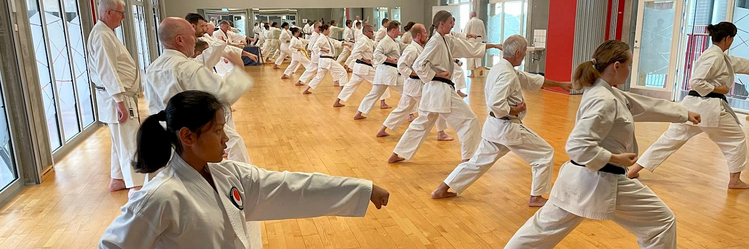 Karate im Walddörfer Sportverein