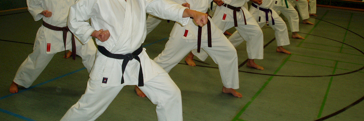 Karate im Walddörfer Sportverein