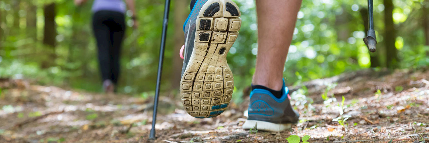 Nordic Walking im Walddörfer Sportverein