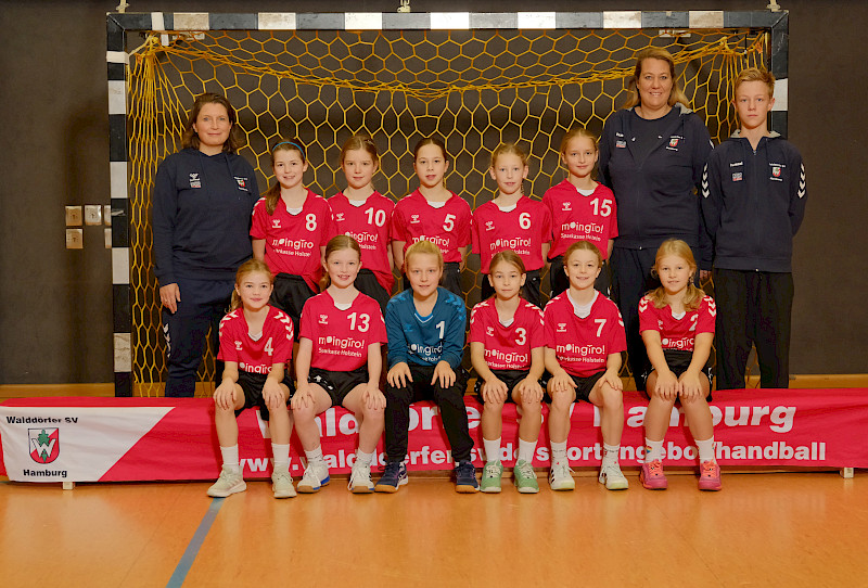 Walddörfer SV Handball 2. Weibliche D-Jugend