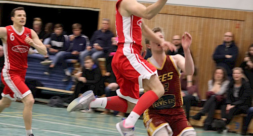 Die 1. Herren mussten im ersten Spiel der Rückrunde eine bittere Niederlage gegen die Bargteheide Bees einstecken (11.2.20)