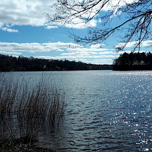 Großensee am Morgen