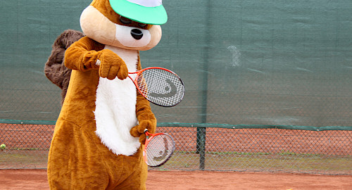 Tennis im Walddörfer SV