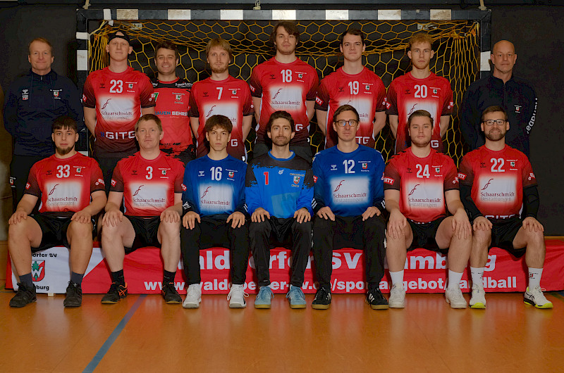 Walddörfer SV Handball 1. Herren