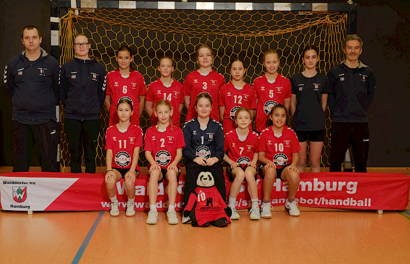 Walddörfer SV Handball 1. Weibliche D-Jugend
