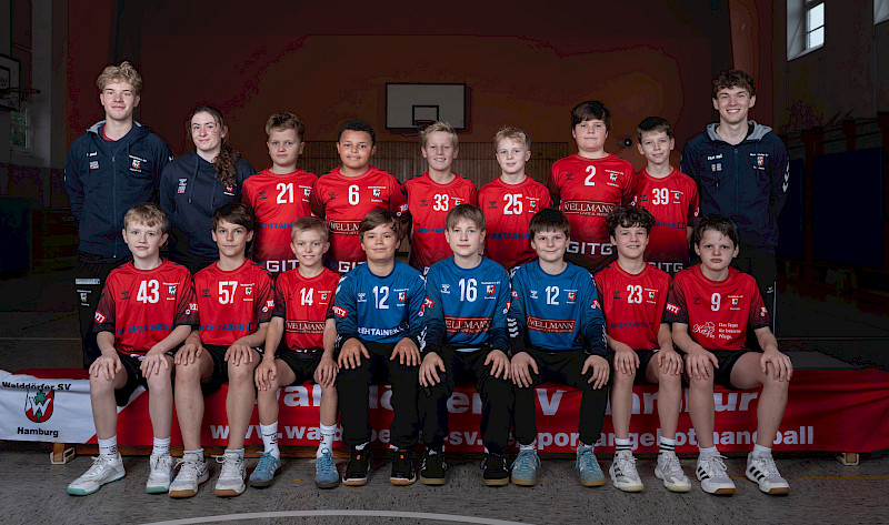 Walddörfer SV Handball 1. Männliche D-Jugend