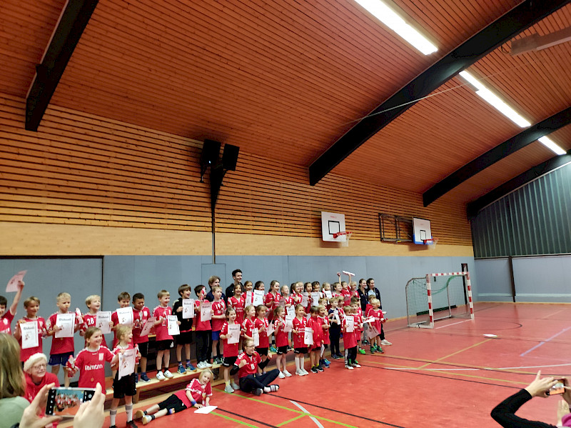 Minispielfest Handball im Walddörfer SV