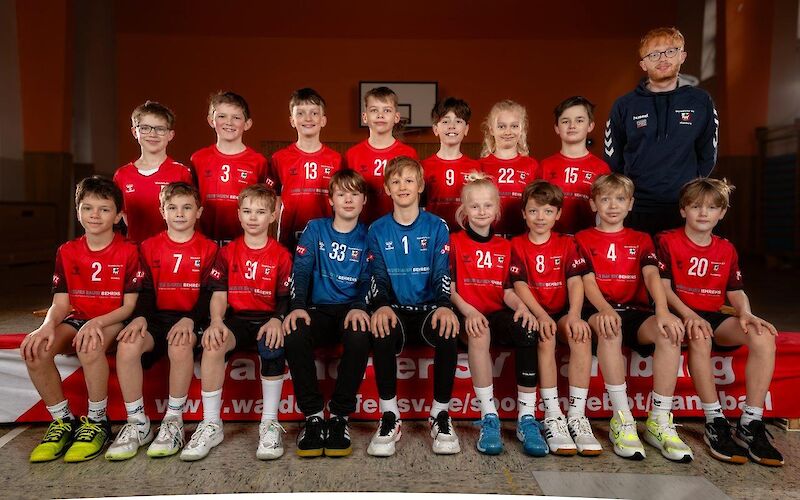 Walddörfer SV Handball 2. Männliche D-Jugend