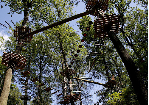 Ferientag Kletterwald