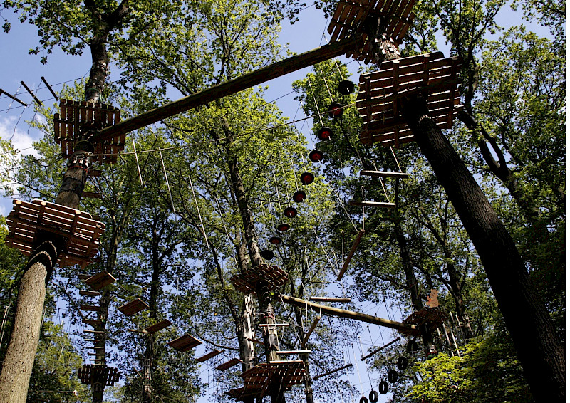 Ferientag Kletterwald