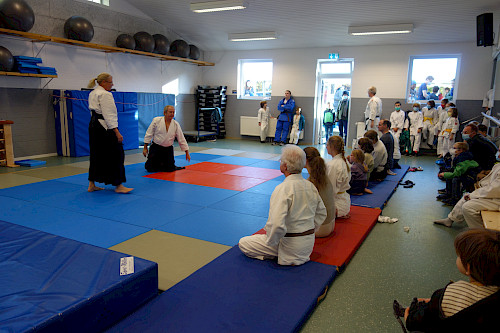 Aikido im Walddörfer SV