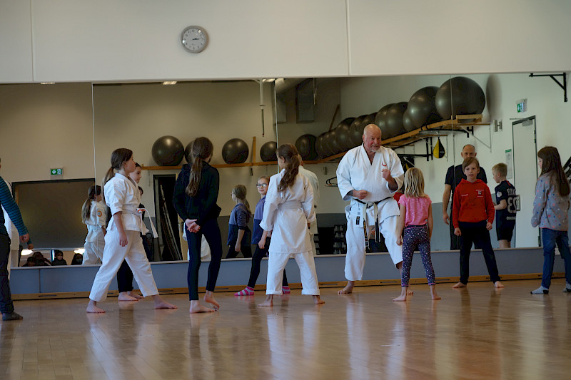 Karate im Walddörfer SV