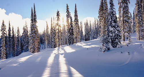 Skireise Fügen mit dem Walddörfer SV