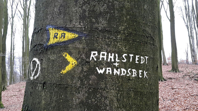 Quer durch den Volksdorfer Wald