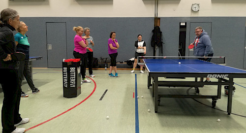 Tischtennis Damen im Walddörfer SV