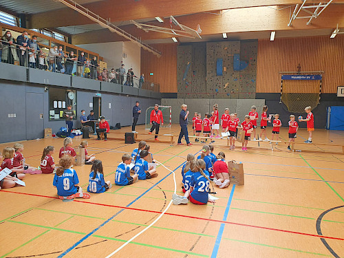 Handball Minispielfest im Walddörfer SV