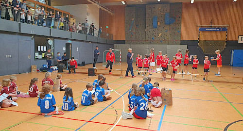 Handball Minispielfest im Walddörfer SV