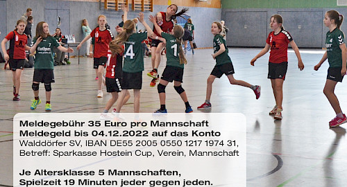 Sparkasse Holstein Cup im Walddörfer SV Handball