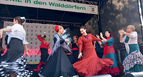 Flamenco im Walddörfer SV