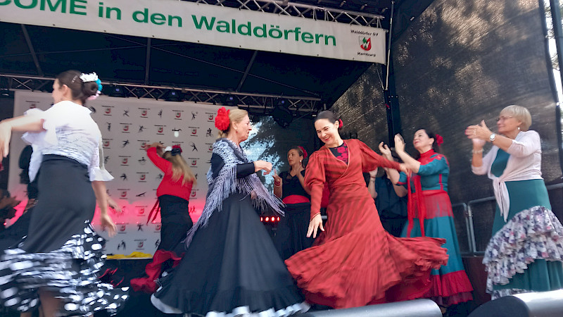 Flamenco im Walddörfer SV