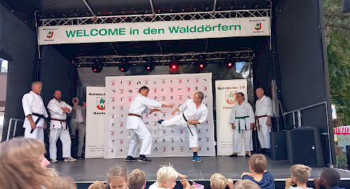 Karate beim Volksdorfer Stadtteilfest 2022
