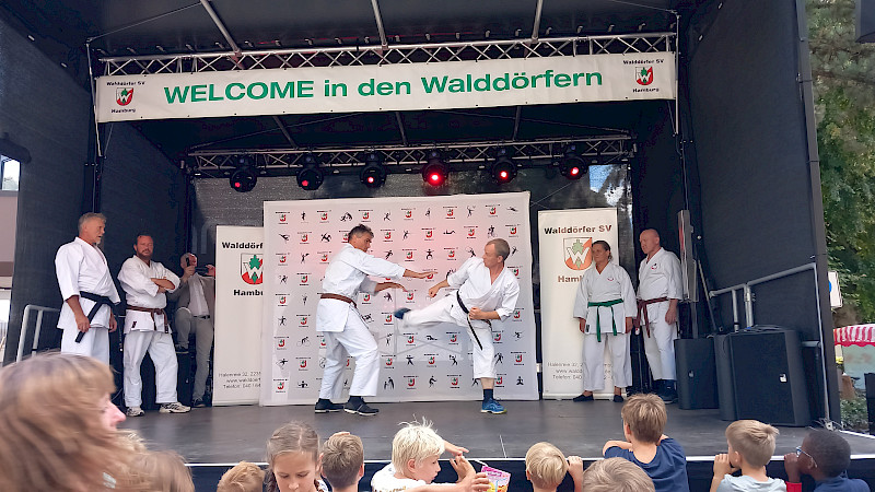 Karate beim Volksdorfer Stadtteilfest 2022