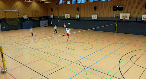 Faustball im Walddörfer SV