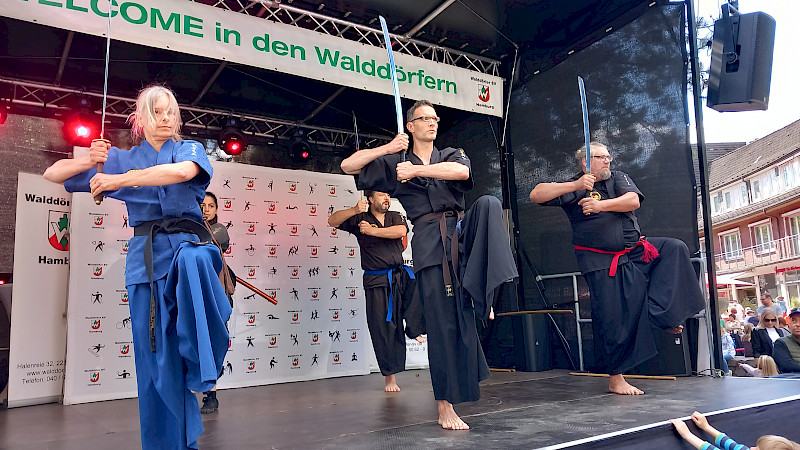 Karate beim Volksdorfer Stadtteilfest 2022