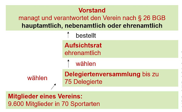 Organisationsstruktur des Walddörfer SV
