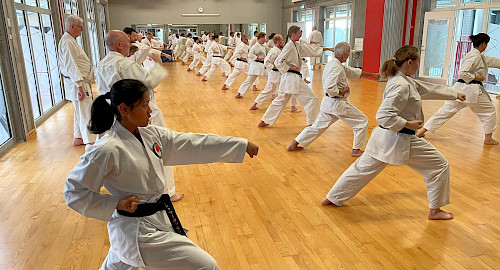 Walddörfer SV Karateka beim Trainingscamp im Dänemark