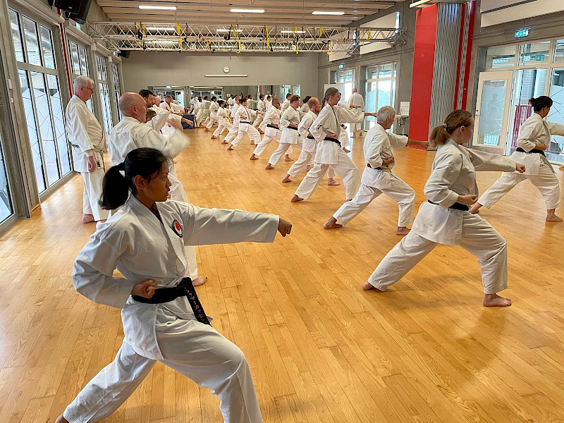 Walddörfer SV Karateka beim Trainingscamp im Dänemark