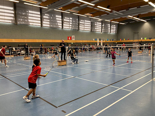 Badminton im Walddörfer SV