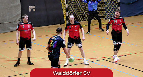 Walddörfer SV Handball Cup für Erwachsene 2025