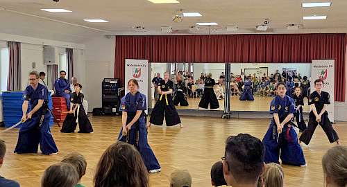 Haidong Gumdo im Walddörfer SV - Tag der offenen Tür Kampfkunst 2025