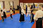Aikido im Walddörfer SV - Tag der offenen Tür Kampfkunst 2025