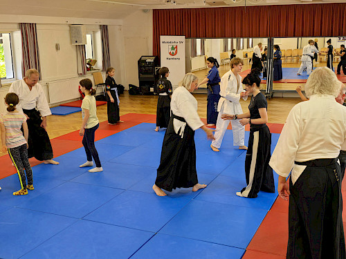 Aikido im Walddörfer SV - Tag der offenen Tür Kampfkunst 2025