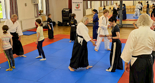 Aikido im Walddörfer SV - Tag der offenen Tür Kampfkunst 2025