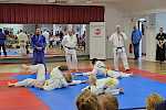 Judo im Walddörfer SV - Tag der offenen Tür Kampfkunst 2025