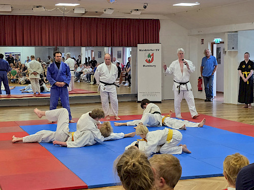 Judo im Walddörfer SV - Tag der offenen Tür Kampfkunst 2025