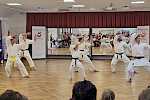 Karate im Walddörfer SV - Tag der offenen Tür Kampfkunst 2025