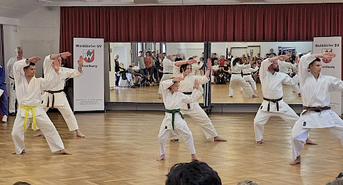 Karate im Walddörfer SV - Tag der offenen Tür Kampfkunst 2025