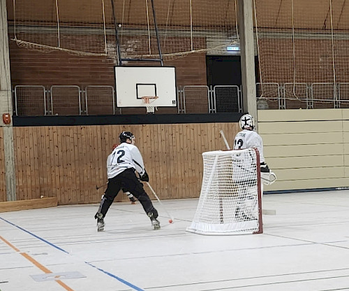 Sieg der Hamburg Knights gegen die Elbadler vom tus Berne