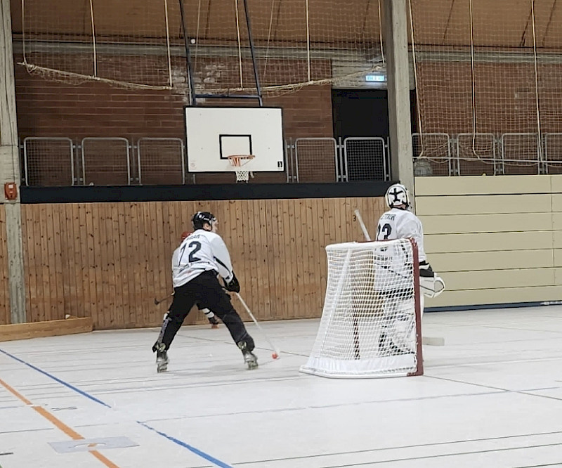 Sieg der Hamburg Knights gegen die Elbadler vom tus Berne