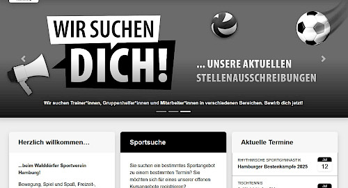 Digitale Teilhabe - Website des Walddörfer SV