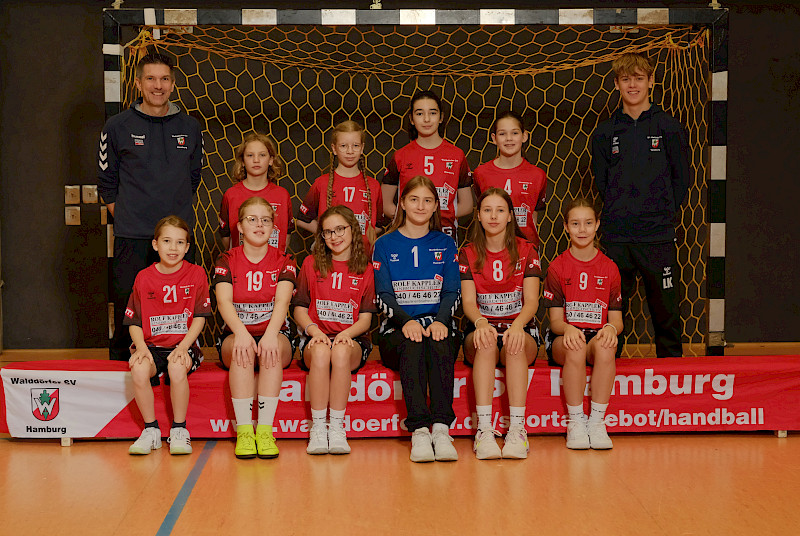 Walddörfer SV Handball 3. Weibliche D-Jugend