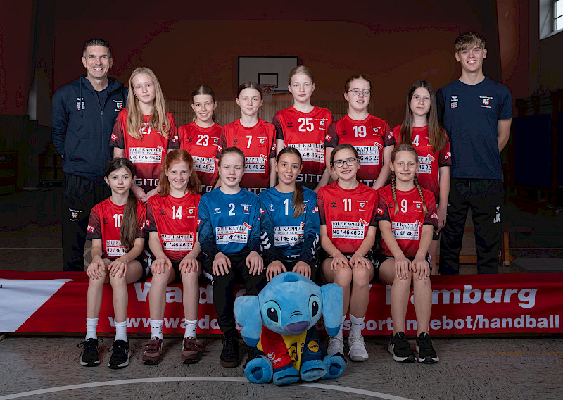 Walddörfer SV Handball 3. Weibliche D-Jugend