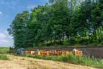 Feldbahn Grauerort