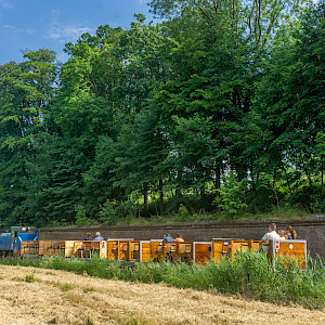 Feldbahn Grauerort